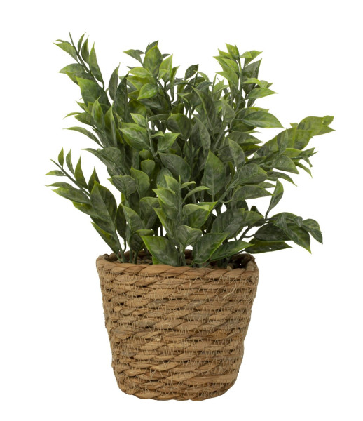 Artificial green plant modern arranged in sea grass pot height 28 cm ⌀ 12cm