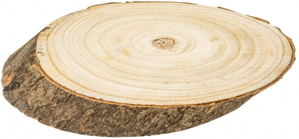 Große Naturholz Baumscheibe 51x32 cm Baumstamm Scheibe Holzscheibe Rohling mit Rinde und Glatter Obe