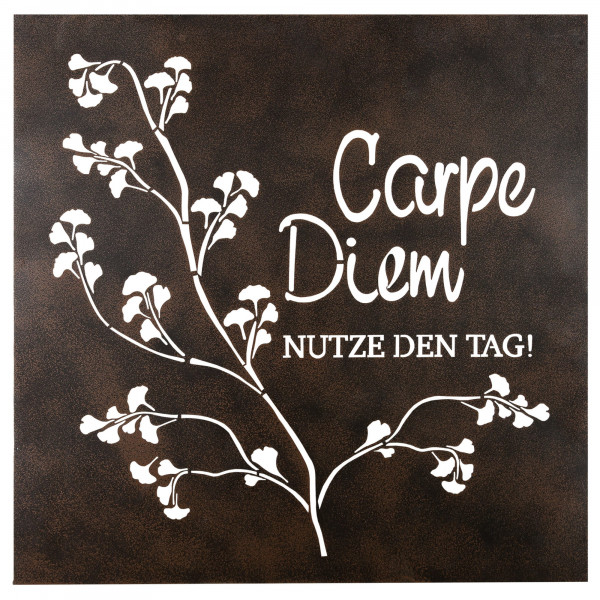 Modern wall relief mural picture for the garden Garden sign &quot;Wisdom&quot; made of metal 60x60 cm