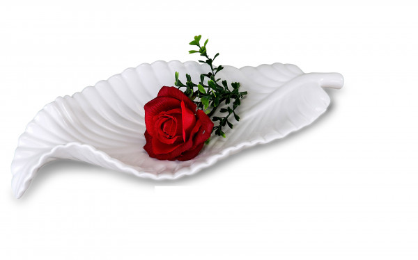 Moderne Dekoschale Obstschale Schale Blatt aus Keramik weiß 36x17 cm