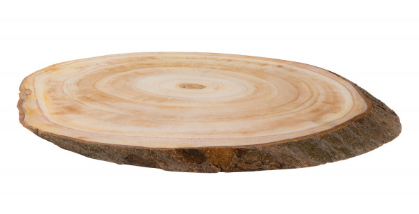 Set of 4 Large natural wood tree discs 26x16 cm tree trunk slices wooden discs blanks with bark