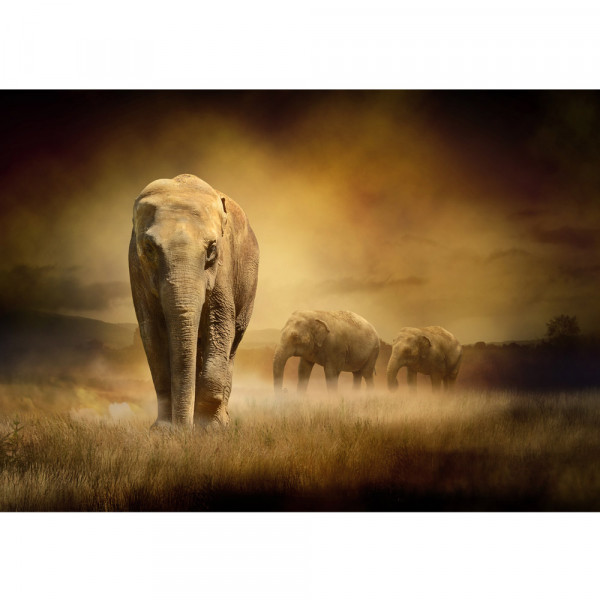 Vlies Fototapete African Savanna Afrika Tapete Elefant Elefanten Gras Landschaft braun